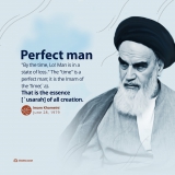 perfect man