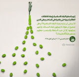 الاختلافات الدينية بين الدول الإسلامية