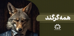 همه گرگند