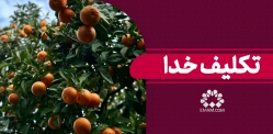 تکلیف خدا