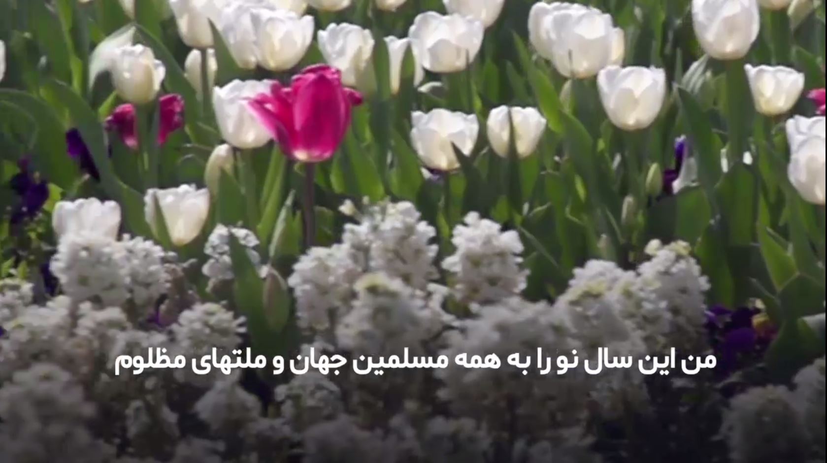 clip - nowroz 98 - pic.jpg clip - nowroz 98 - pic.jpg